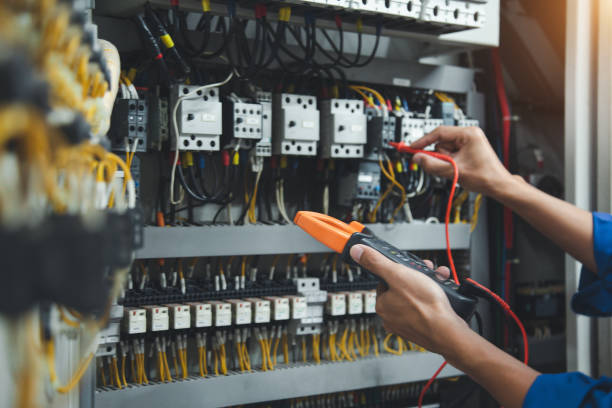 Best Electric Panel Repair  in Leadville North, CO